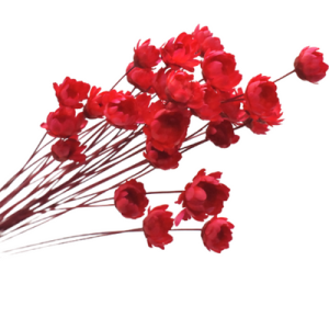 Red Preserved Flowers | 30 Stems